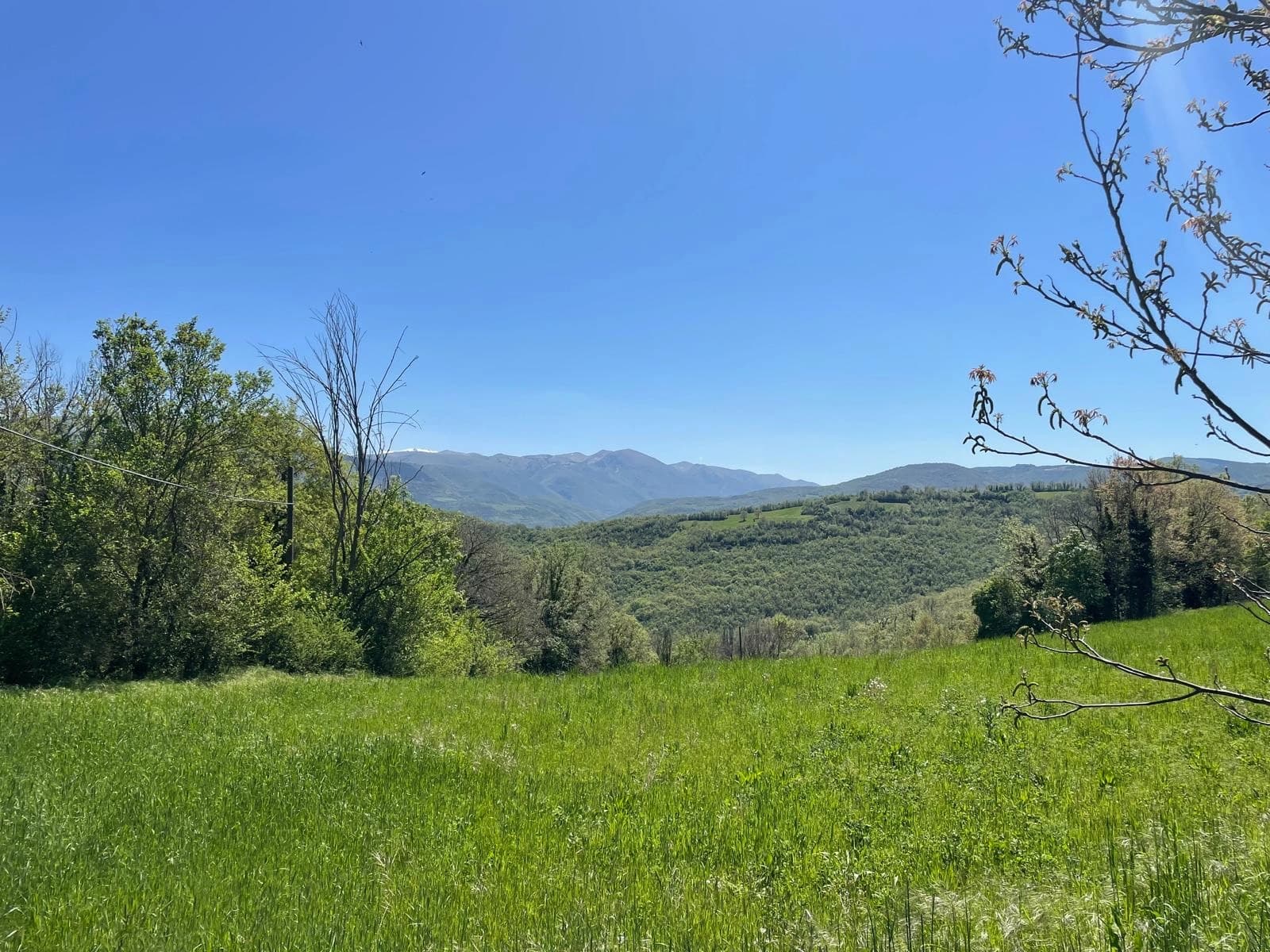 Terres agricoles biologiques du Domaine Mevale - vignes, oliviers centenaires et truffières dans les Monts Sibillins