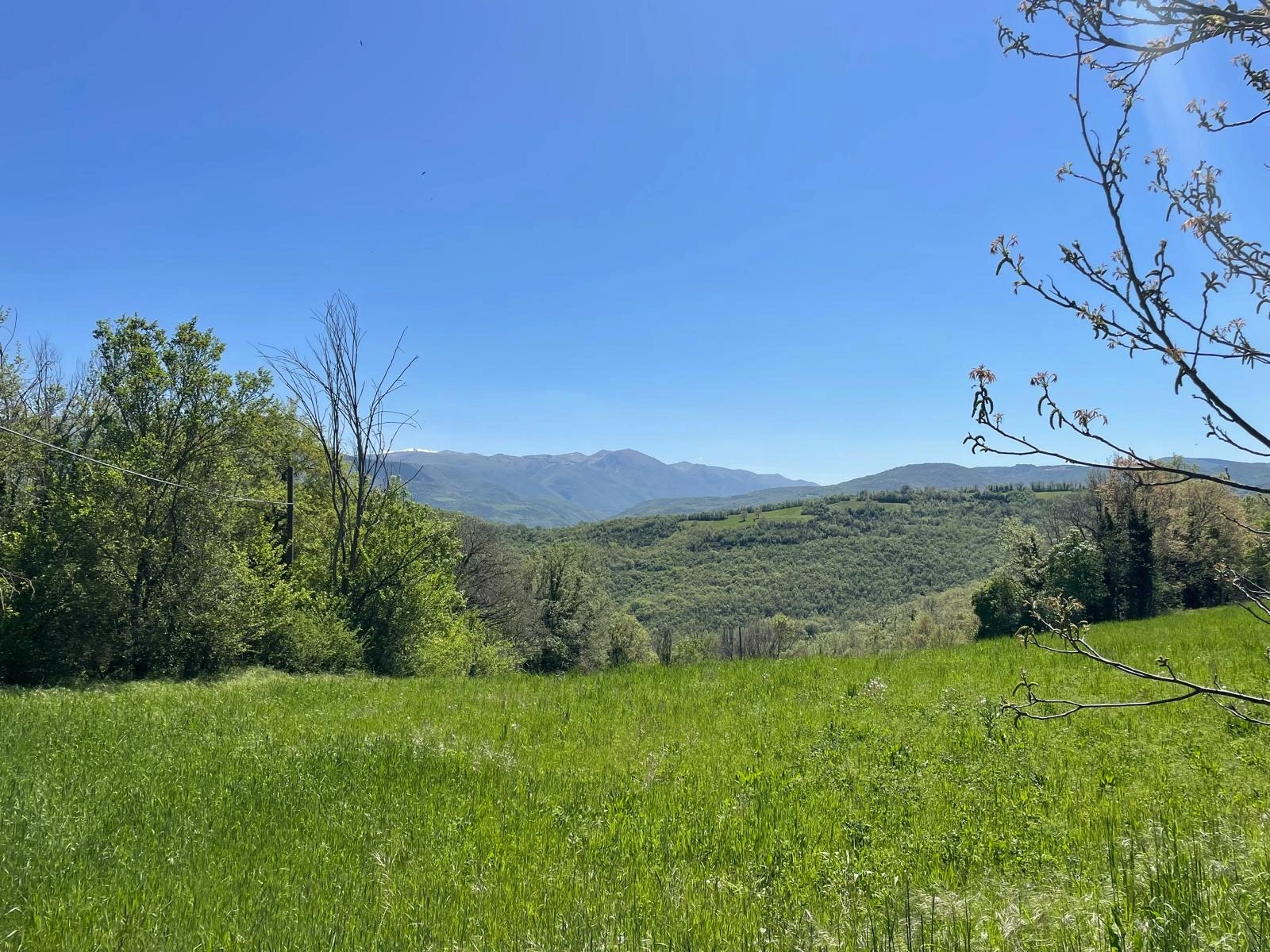 Domaine Mevale Paysage